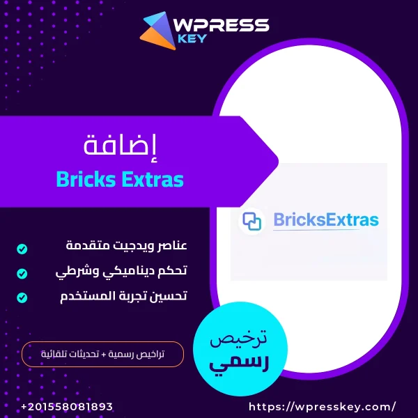 Bricks Extras