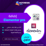 elementor-pro